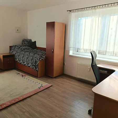 Komfort V Blizkosti Centra Apartman